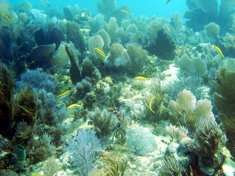 7. Florida Keys