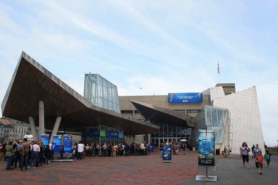 10. New England Aquarium