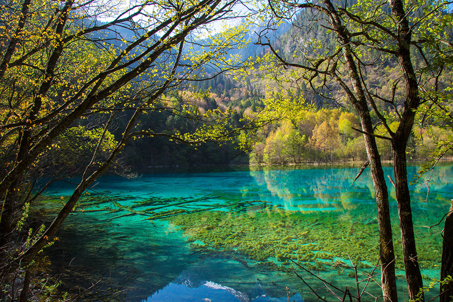 14. Jiuzhaigou