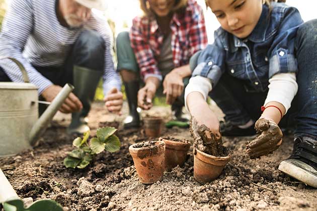 Gardening