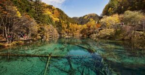 The pristine wildlife of Jiuzhaigou is threatened by human encroachment.