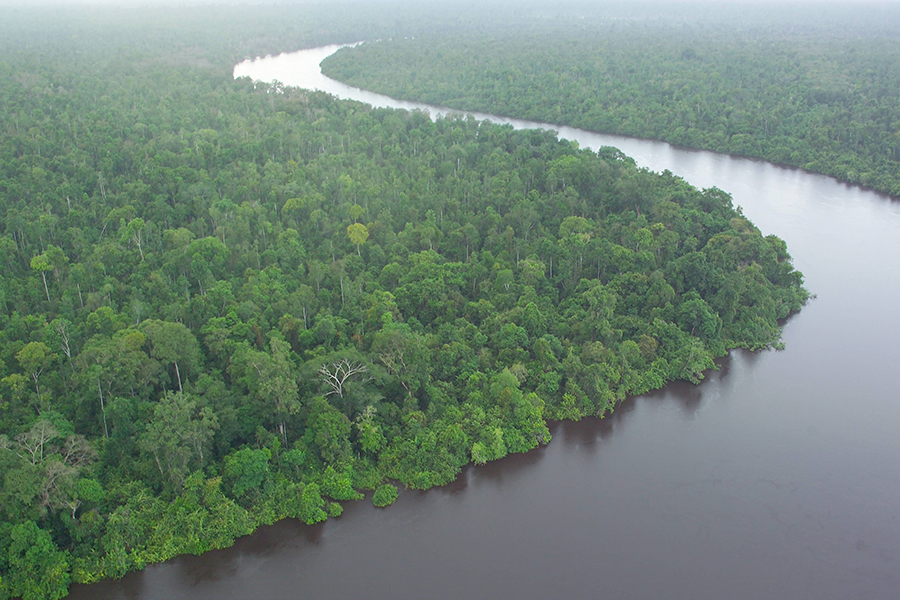 Borneo