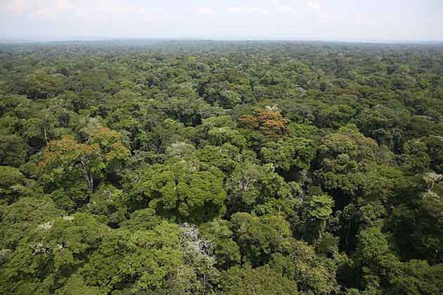 Congo Basin