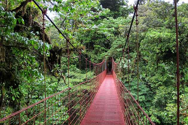 Monteverde Cloud Forest