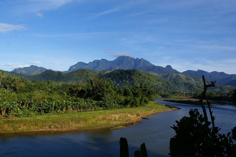 Rainforests of the Atsinanana