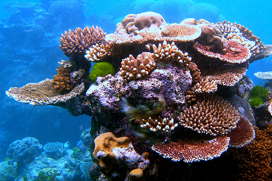 Great Barrier Reef