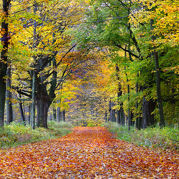 5. The Berkshires, Massachusetts