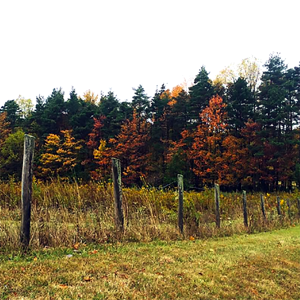 12. Oakland, Maryland