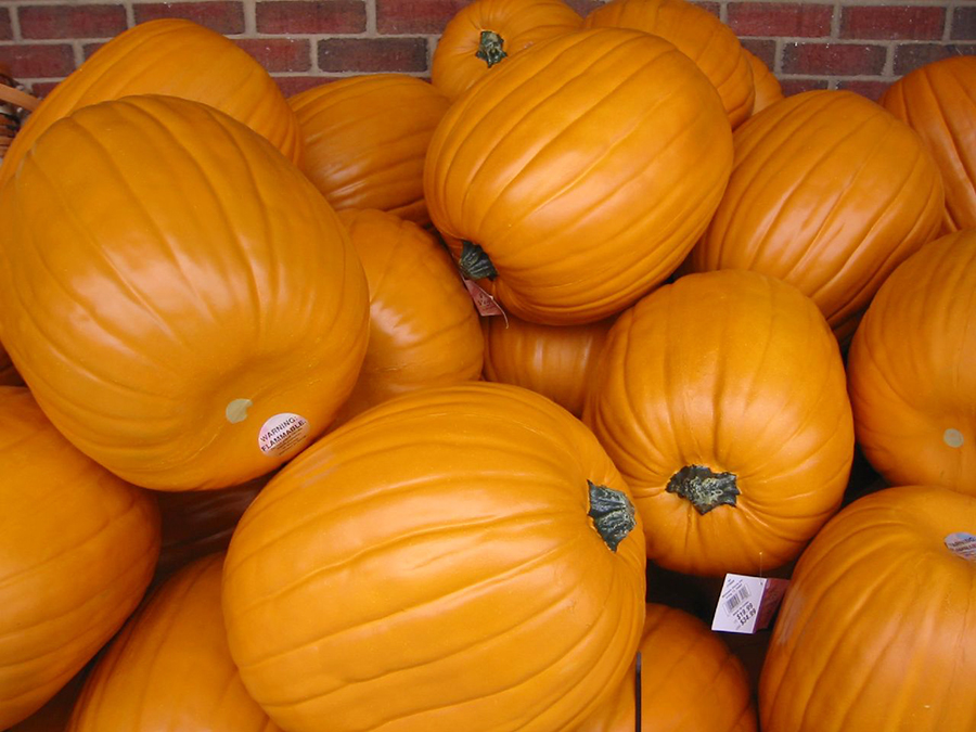 2. Purchase plastic pumpkins.