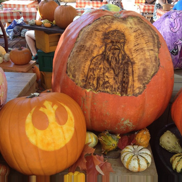 Chewie