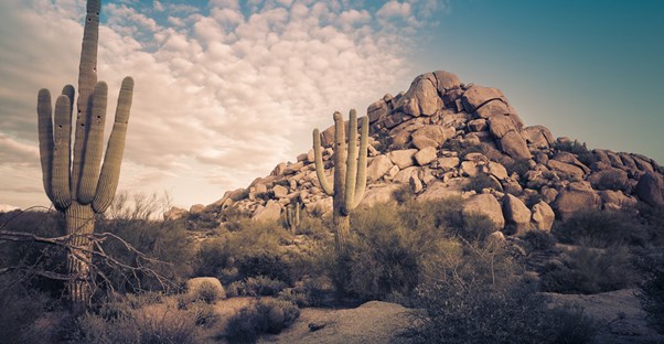 Scottsdale, Arizona, has everything anyone would need for a staycation.
