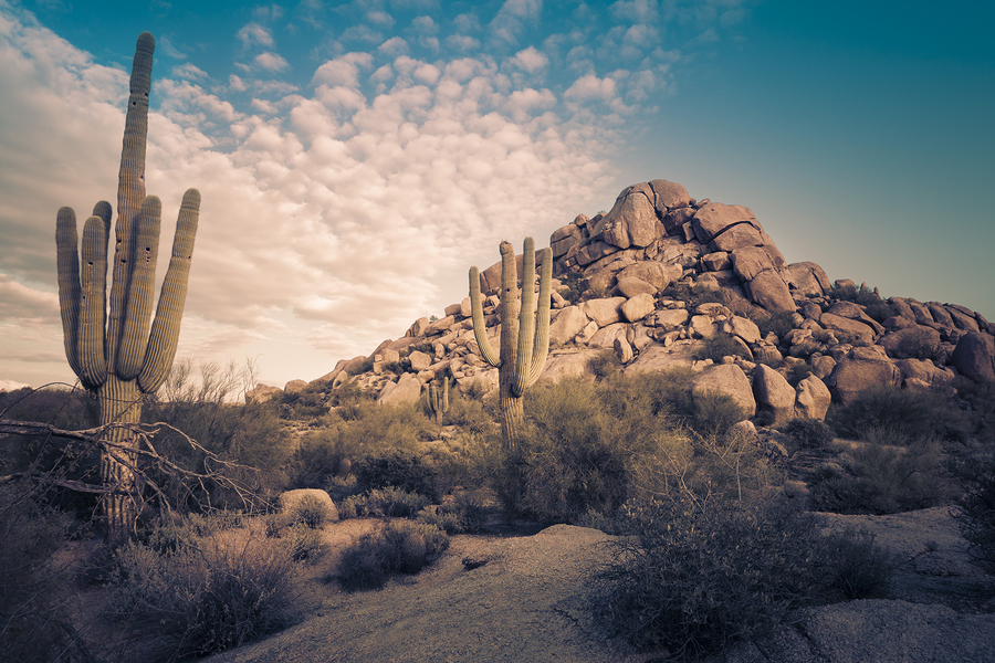Scottsdale, Arizona