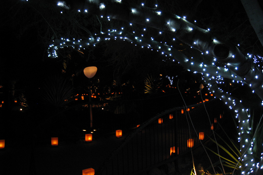 3. Las Noches de las Luminarias