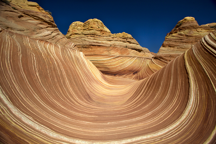 10. "The Wave"