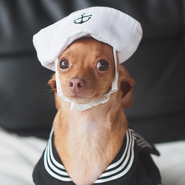 Hello, Sailor