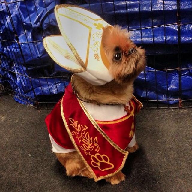 Pup Pope
