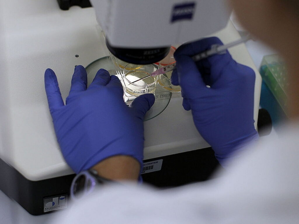 A scientist manipulates moves a syringe in a petri dish below a large microscope in a lab setting.